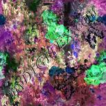 Colour:F