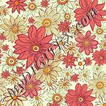 Colour:K