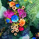 Colour:A