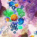 Colour:F
