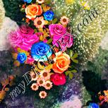 Colour:J