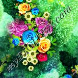 Colour:K