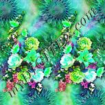 Colour:C