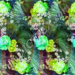 Colour:C