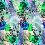 Colour:F
