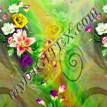 Colour:K