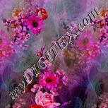 Colour:B