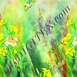 Colour:K