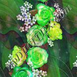 Colour:D