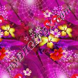 Colour:B