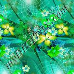 Colour:C