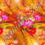 Colour:J