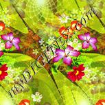 Colour:K