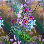 Colour:A