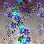 Colour:F