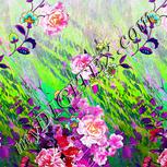 Colour:B