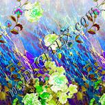 Colour:D