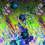 Colour:F