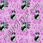 Colour:C