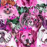 Colour:B