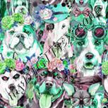 Colour:C