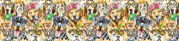 Pup Glasses