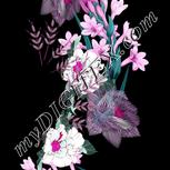 Colour:B