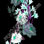 Colour:C