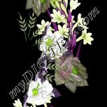 Colour:D