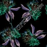 Colour:F