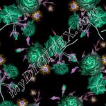 Colour:F
