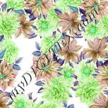 Colour:C
