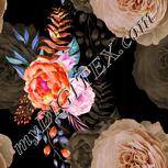 Colour:B