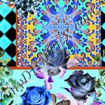 Colour:F