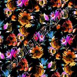 Colour:B