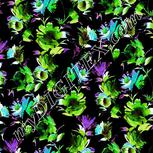 Colour:C