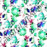 Colour:F