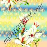 Colour:K