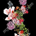 Colour:A