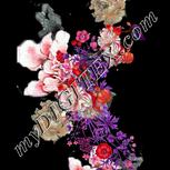 Colour:B