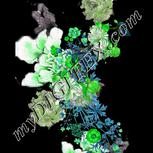 Colour:C
