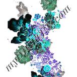Colour:F