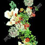 Colour:K
