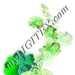 Colour:C