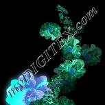 Colour:F