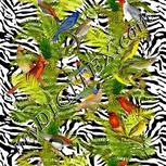 Colour:A