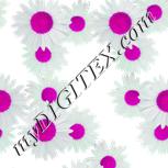 Colour:B