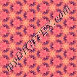 Colour:F