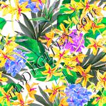 Colour:J