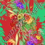 Colour:F